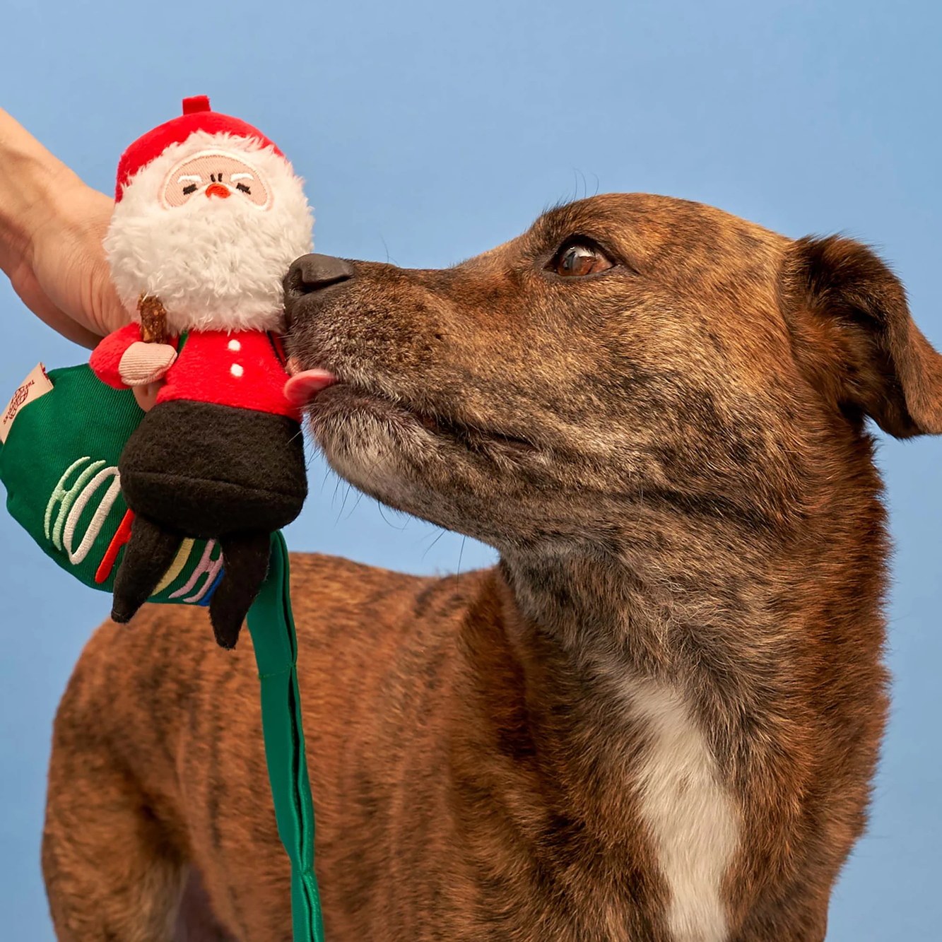 Squeaky Interactive Nosework Dog Toy, Santa Paws