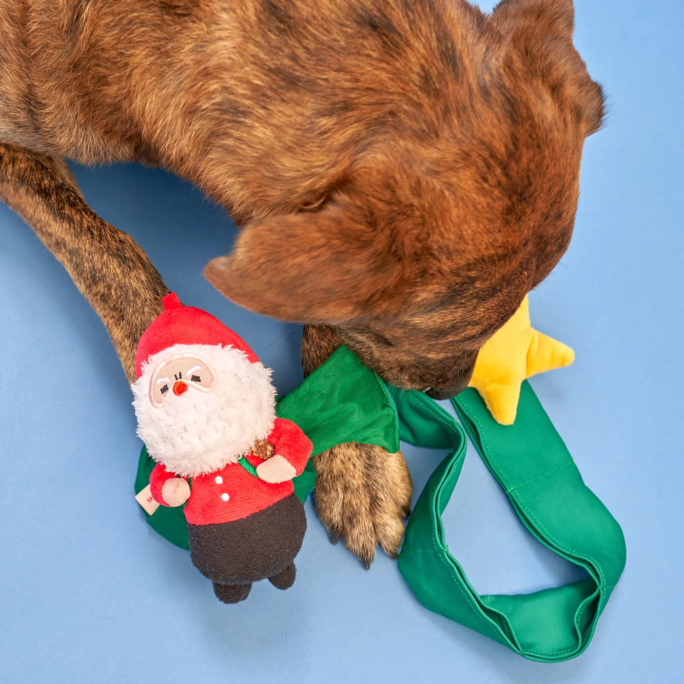 Squeaky Interactive Nosework Dog Toy, Santa Paws