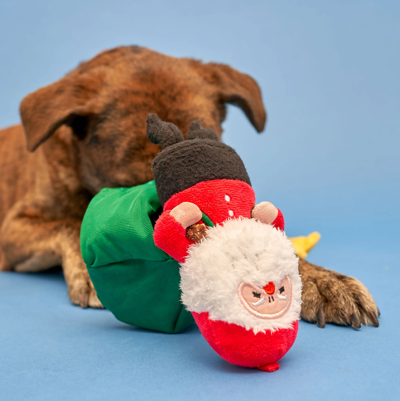 Squeaky Interactive Nosework Dog Toy, Santa Paws