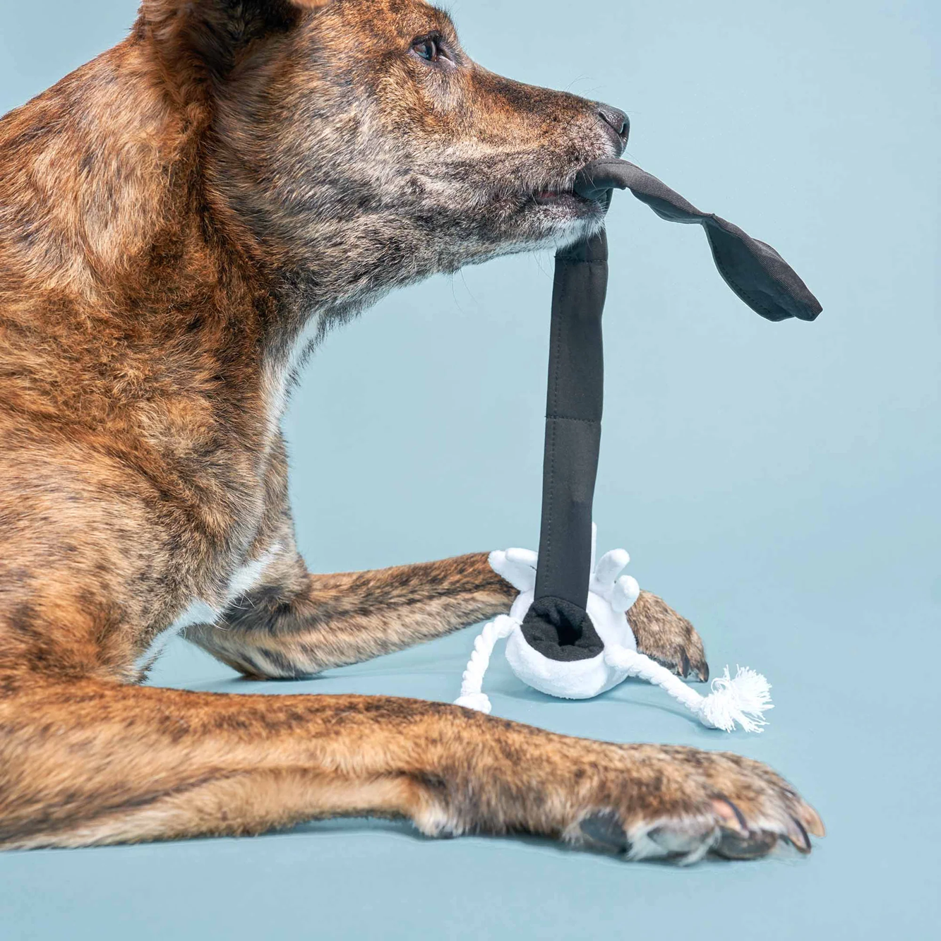 Squeaky Interactive Nosework Dog Toy, Uncle Calamari