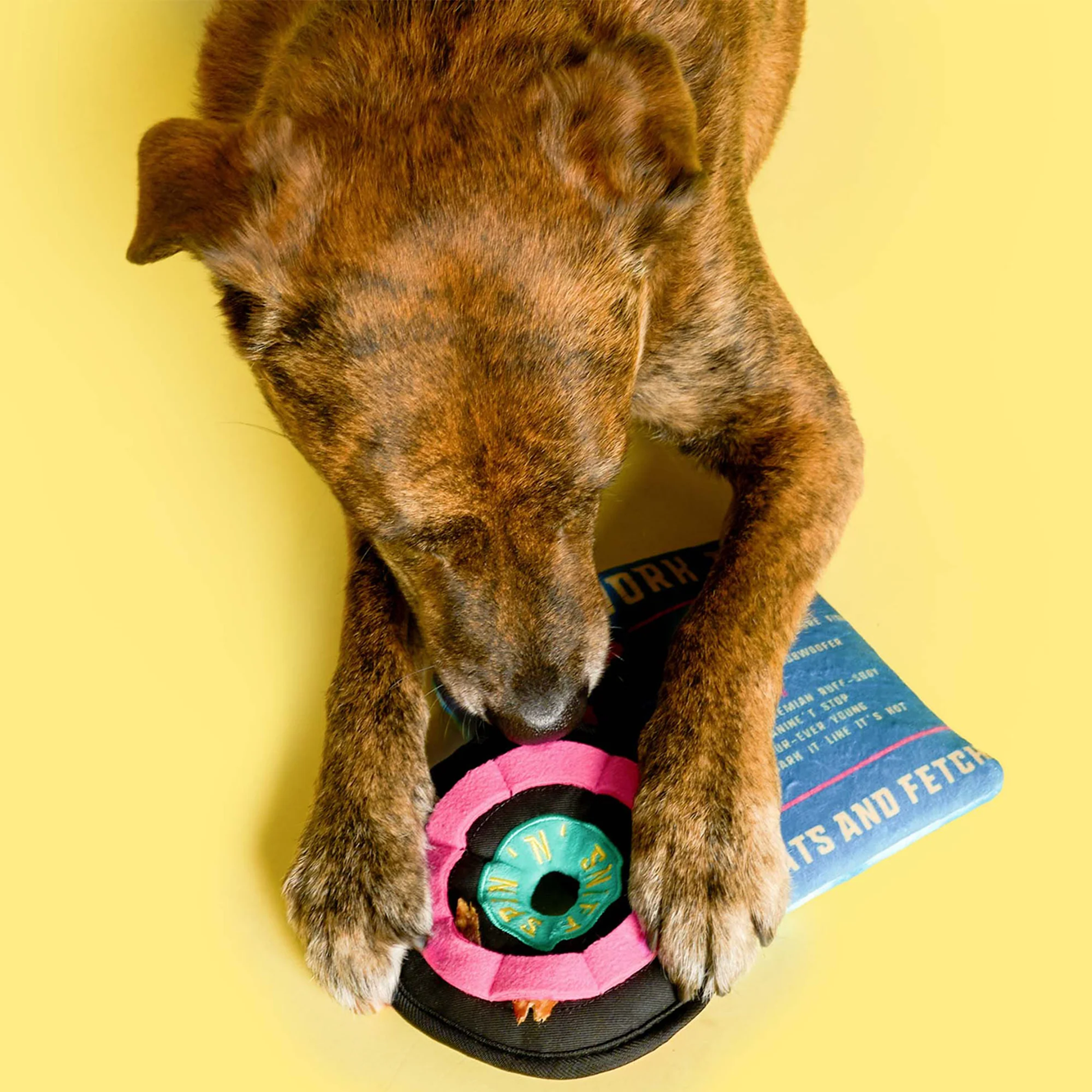 Squeaky Interactive Nosework Dog Toy, Vinyl