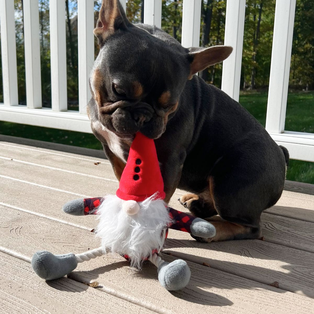 Squeaky Plush Dog Toy: Gnome Pull-Through Rope