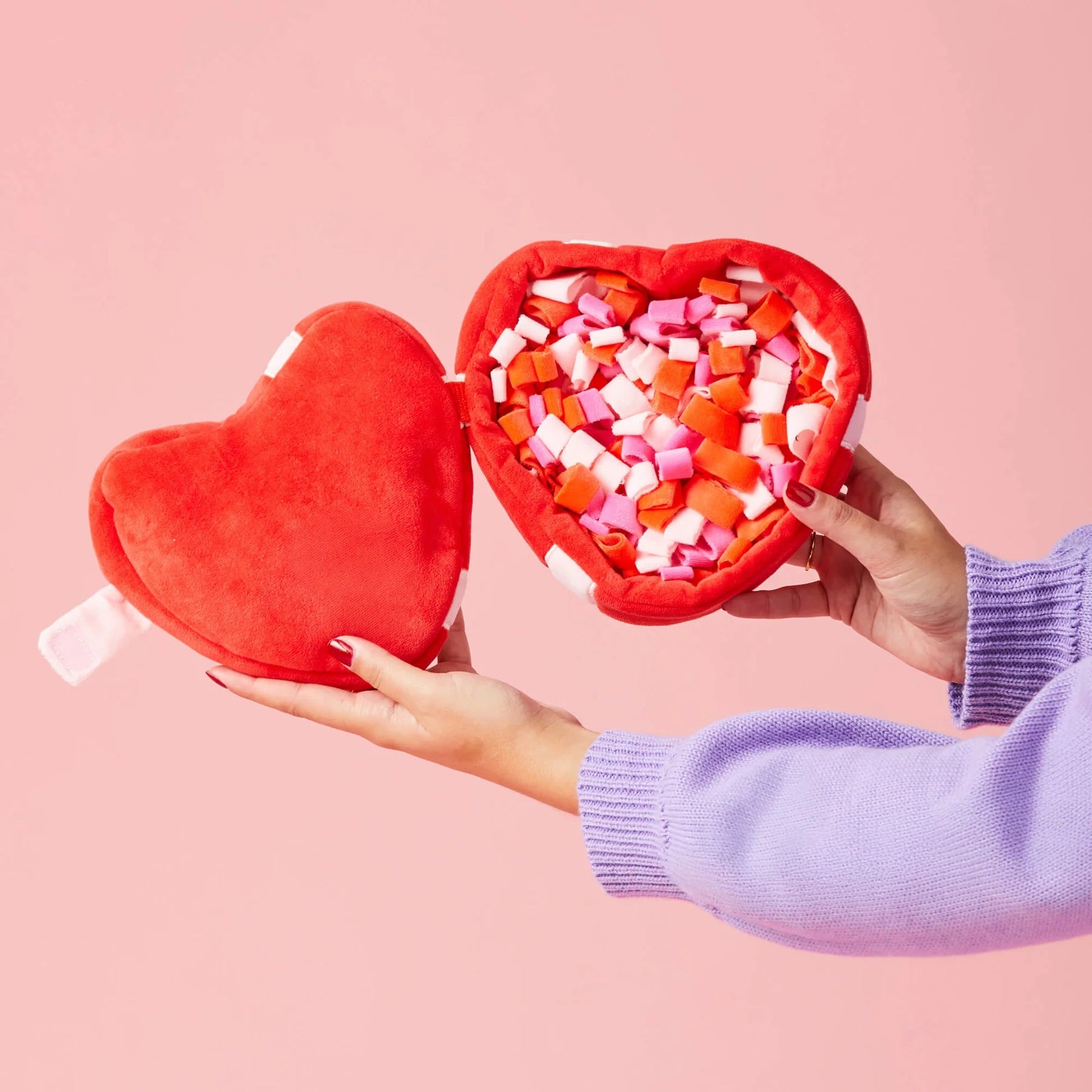 Squeaky Plush Interactive Snuffle Dog Toy, Be My Valentine