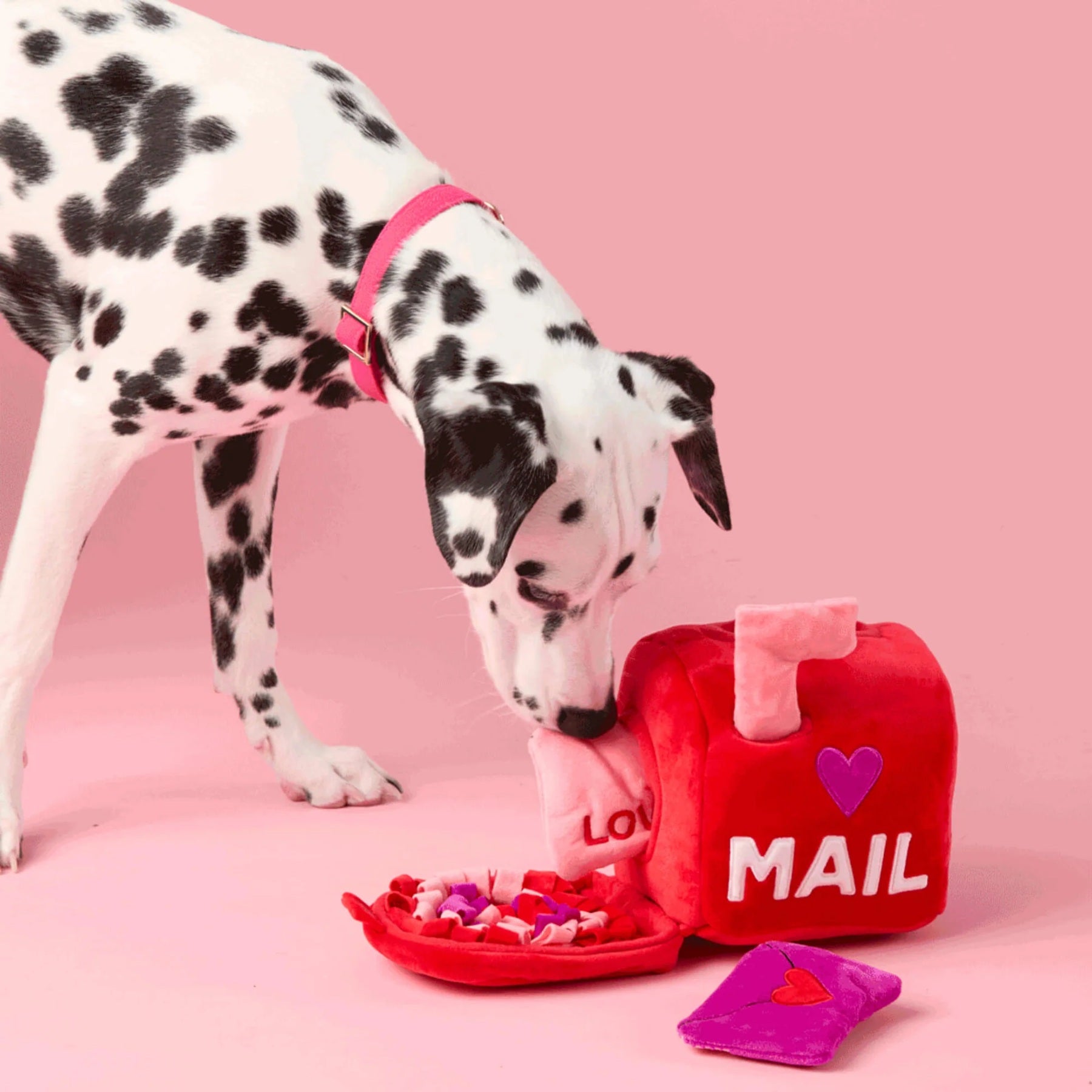 Squeaky Plush Interactive Snuffle Dog Toy, Love Letters