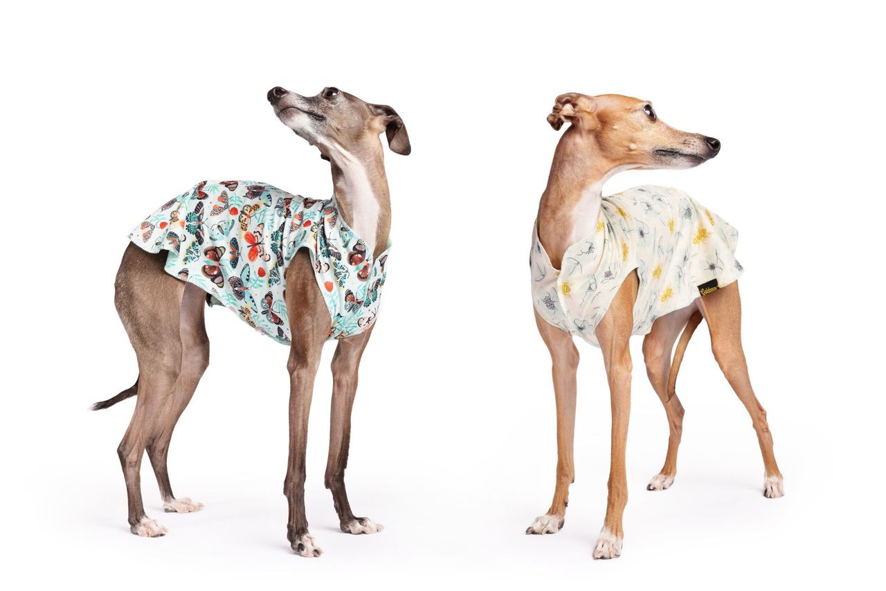 Sun Shield Tee shirts for Dogs and Cats, Vintage Bees (Limited Edition)