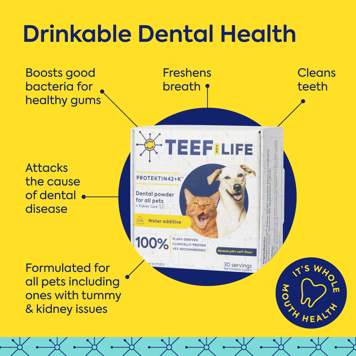 Teef for Life Protektin 42K Sodium-free dog and cat breath freshener water additive powder for sensitive pets needing gentle dental care.