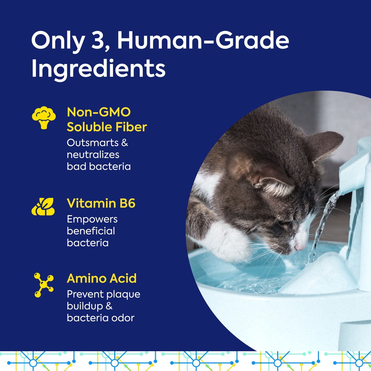 Teef for Life Protektin 42K Sodium-free dog and cat breath freshener water additive powder for sensitive pets needing gentle dental care.