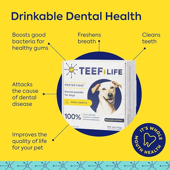 Teef for Life Protektin 42K Sodium-free dog and cat breath freshener water additive powder for sensitive pets needing gentle dental care.