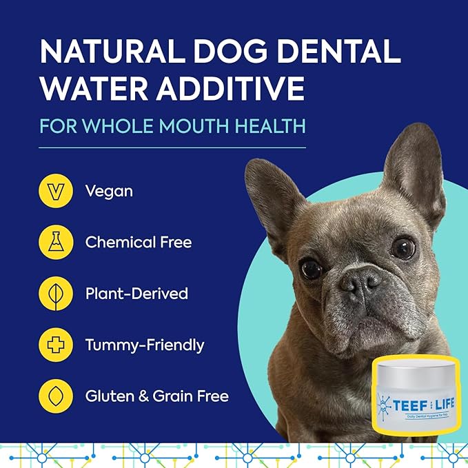 TEEF for Life Protektin42 prebiotic dental powder kit for dogs. Vegan water additive for canine oral health.