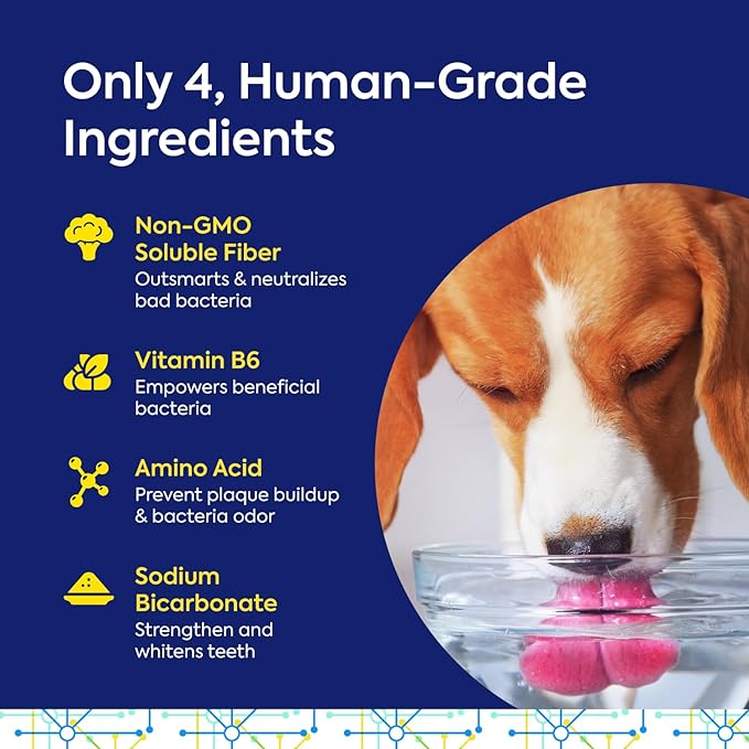 TEEF for Life Protektin42 prebiotic dental powder kit for dogs. Vegan water additive for canine oral health.