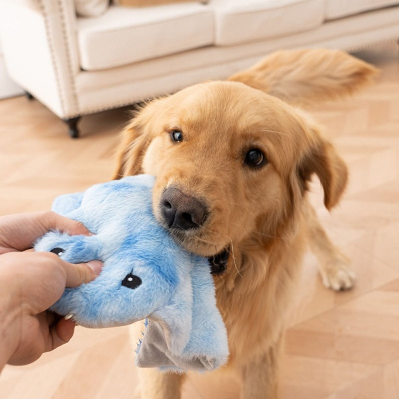 Excited puppy playing with a squeaky Tall Tails Animated Manta Ray crinkle toy during an interactive session.