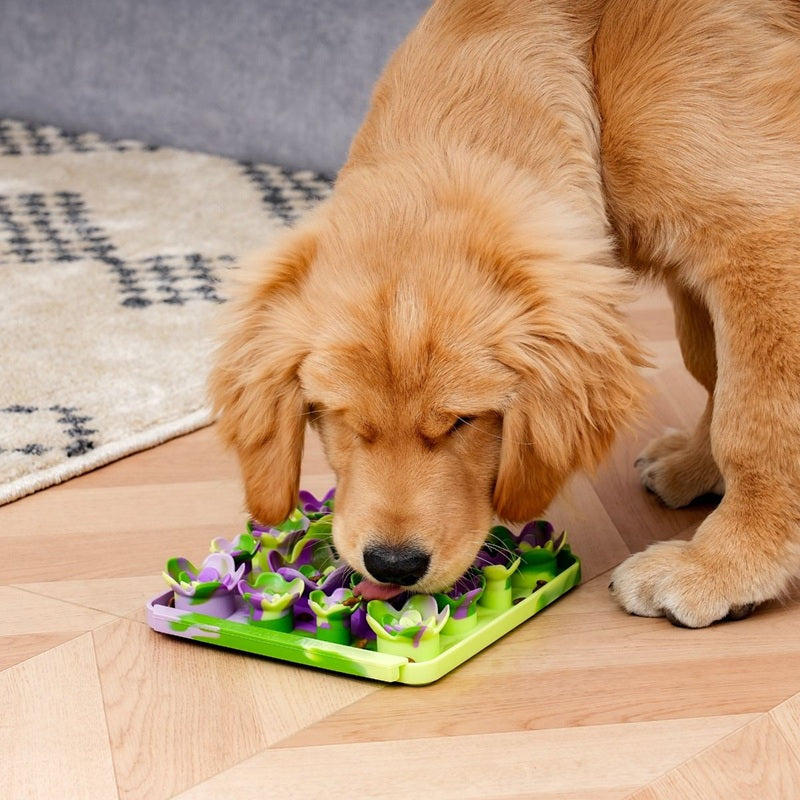 Interactive Food-Grade Foraging Mat for Dogs, Succulent