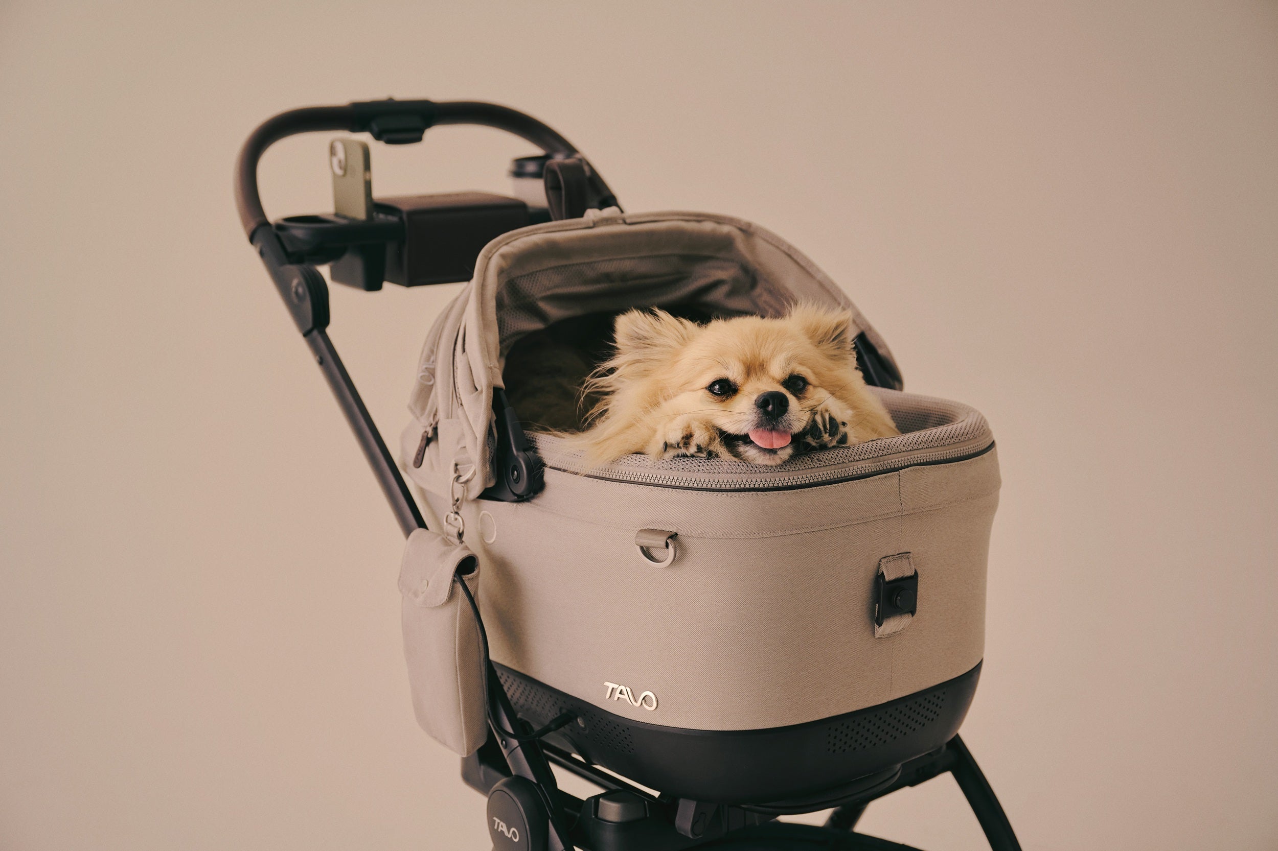 Tavo Pets Carrier and Safety Car Seat, Maeve ISO Wind in Ashen