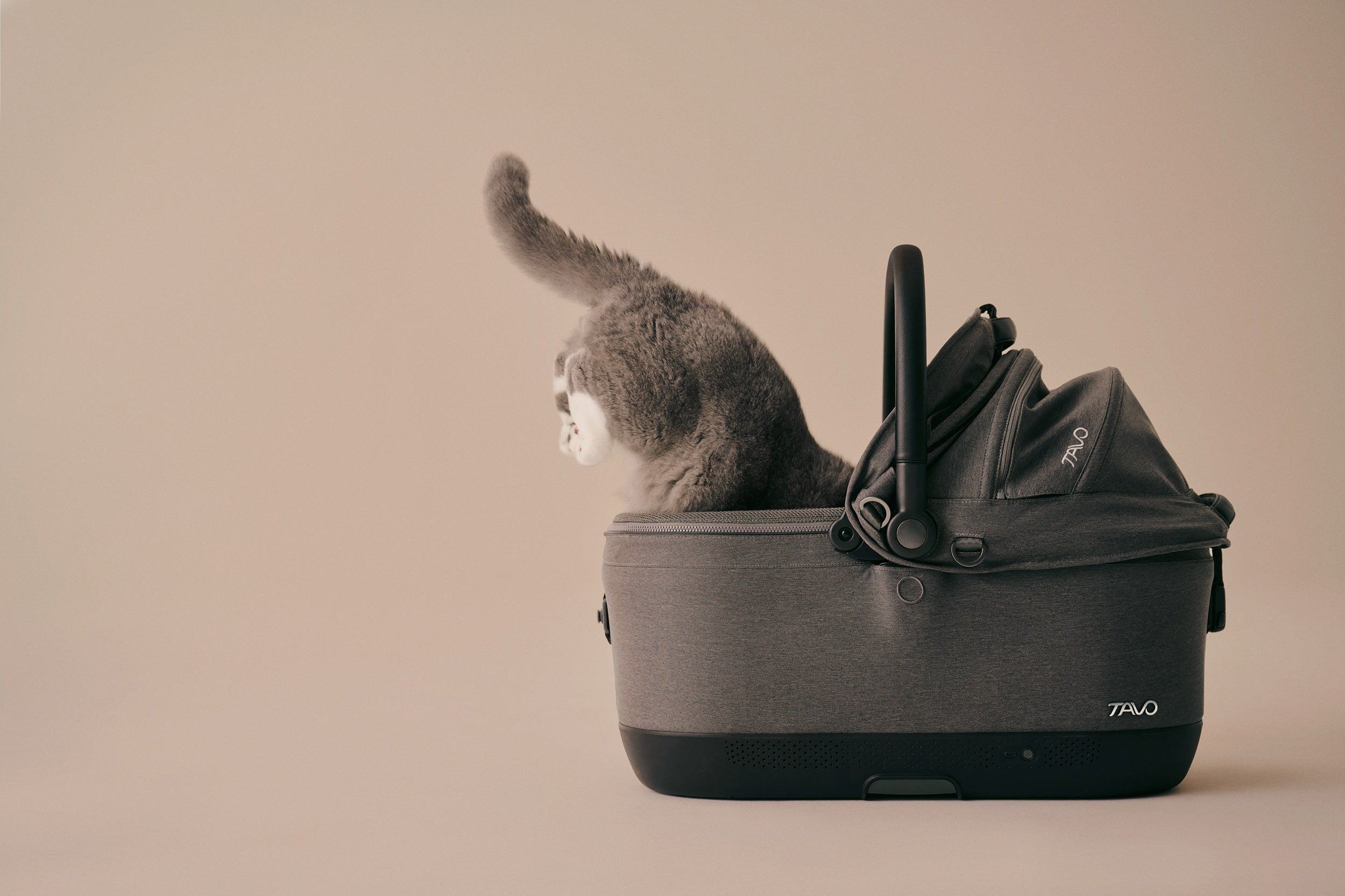 Tavo Pets Carrier and Safety Car Seat, Maeve ISO Wind in Ashen