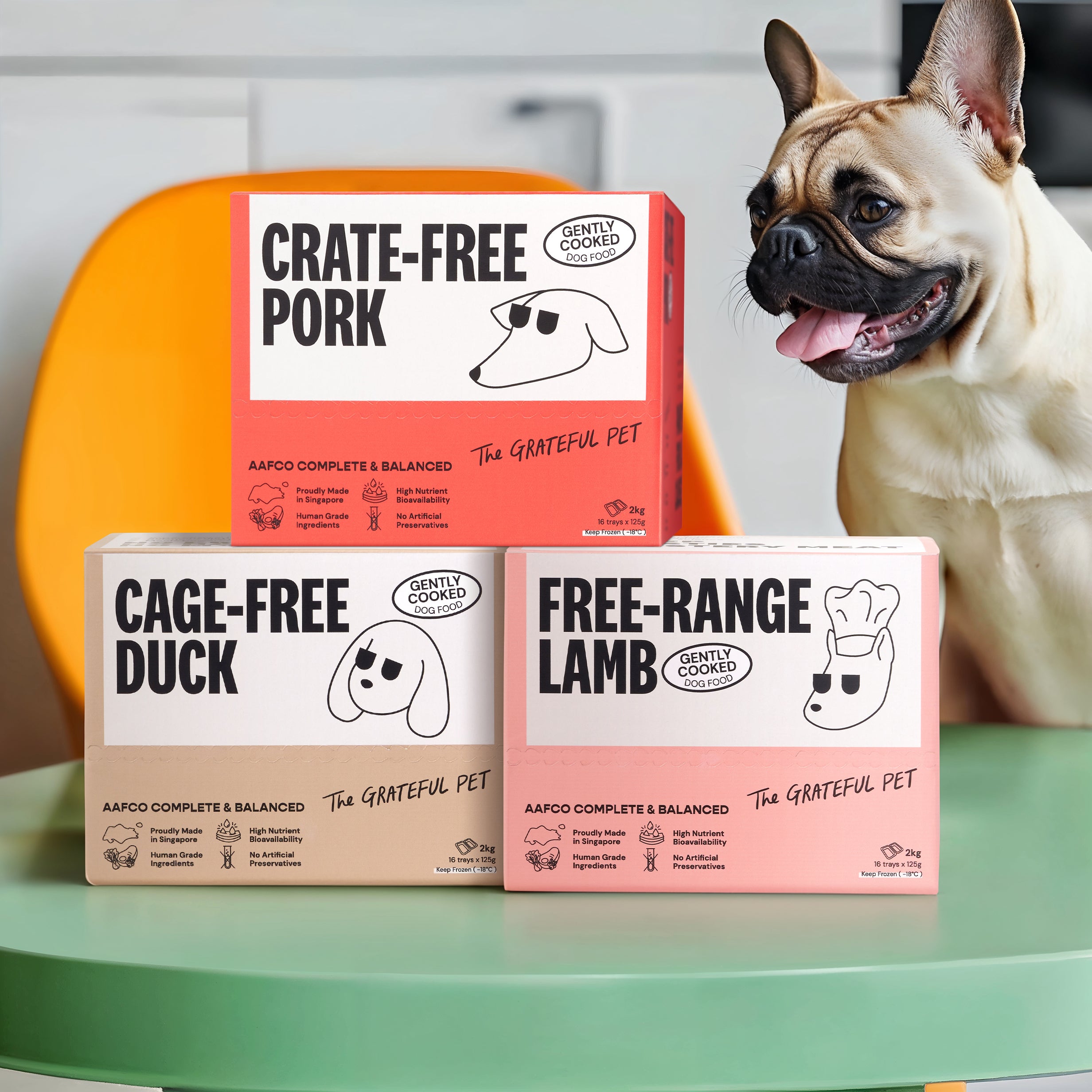 The Grateful Pet: Cooked Food for Dogs, Crate-free Pork