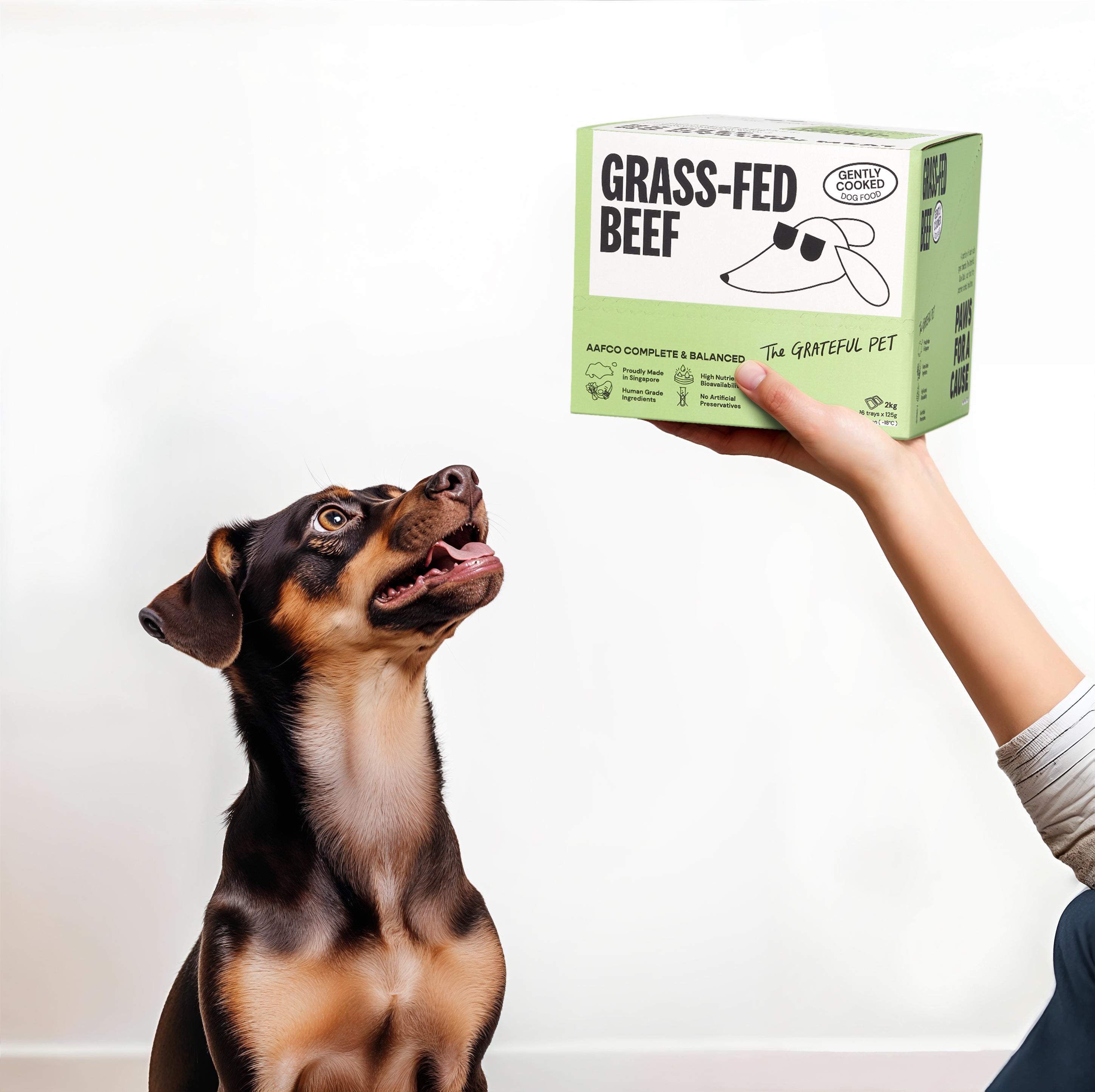 The Grateful Pet: Cooked Food for Dogs, Grass-fed Beef
