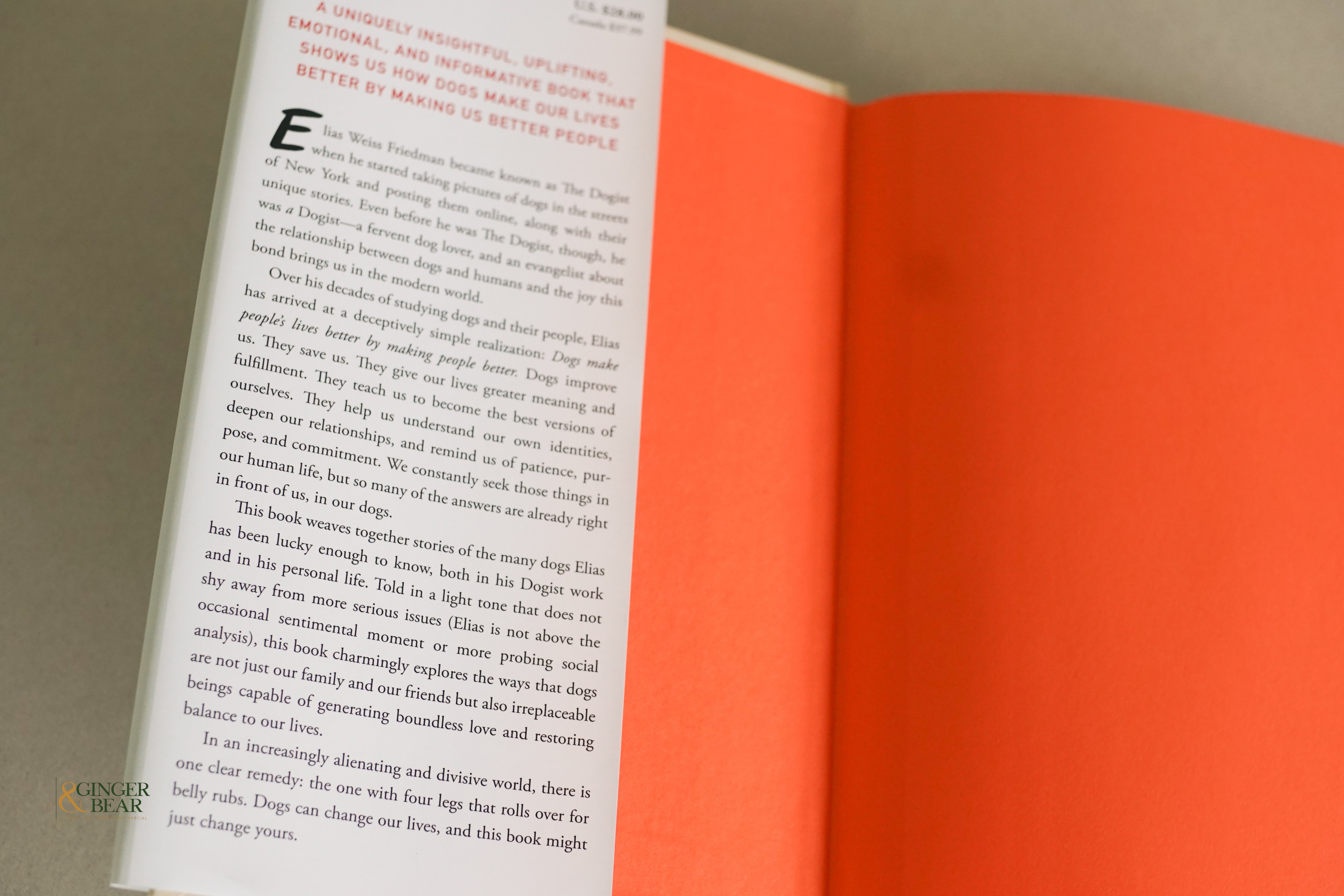 Book: This Dog Will Change Your Life — The Dogist (Hardcover, 2025)