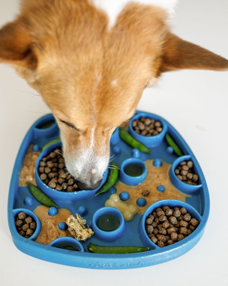 Dog Food and Drink Non-slip Eco Sustainable All-in-one Slow Feeder Lick Feast Mat: Marine