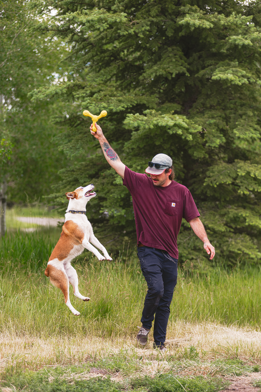 Toss and Fetch Dog toy, Zogoflex Echo Skamp (New Colours)