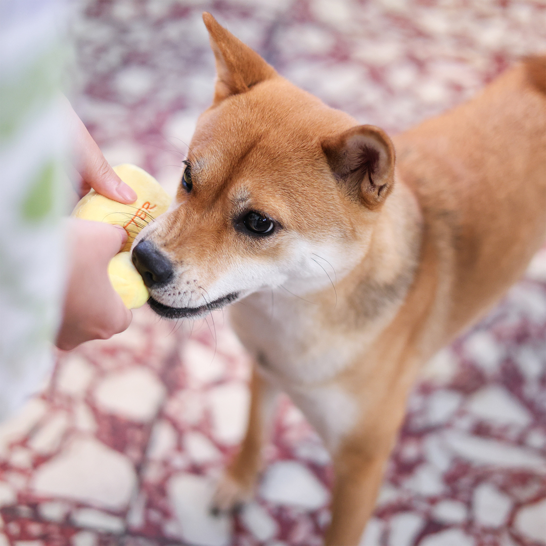 Woof² Buttered Pineapple Bun, Nosework Interactive Plush Dog Toy