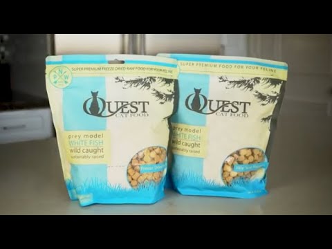 Steve's Real Food Quest Freeze-Dried White Fish Cat Food