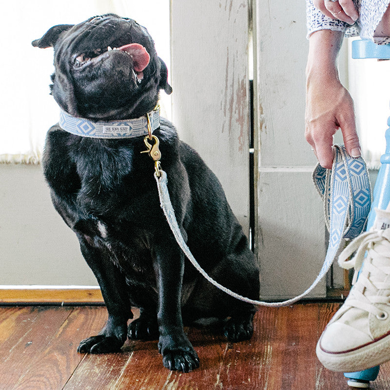 Out of My Box Leash, Lake Blue and Cream