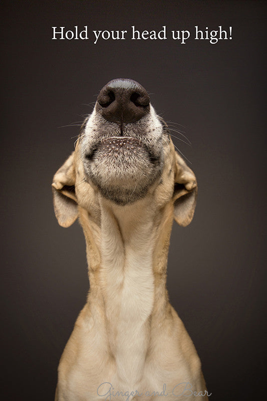 Postcard: Hold your head up high!