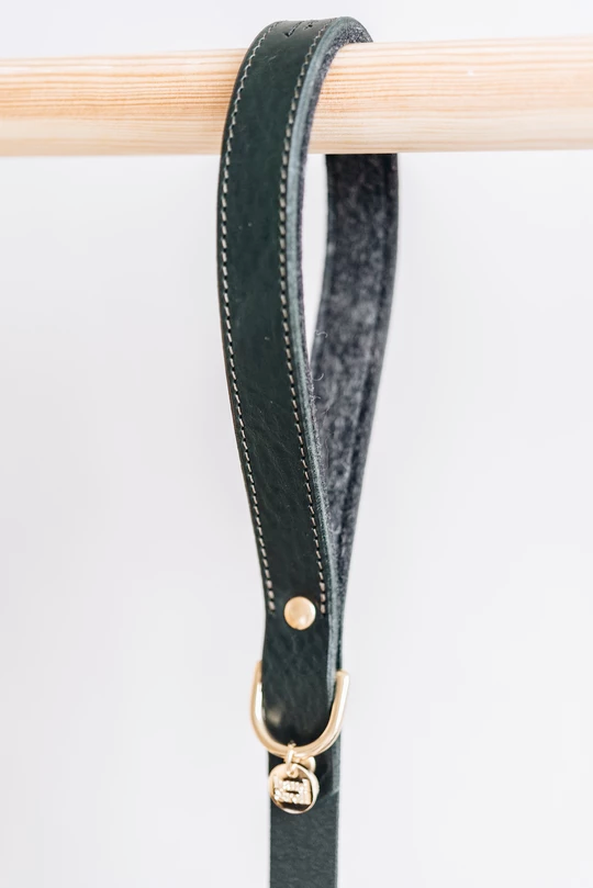 Band&Roll Hitch Leather Dog Leash Latte Brown Green Tan Black