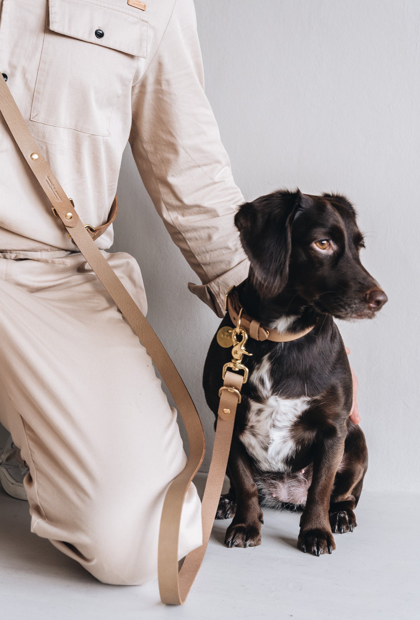 Lasso Leather Dog Leash