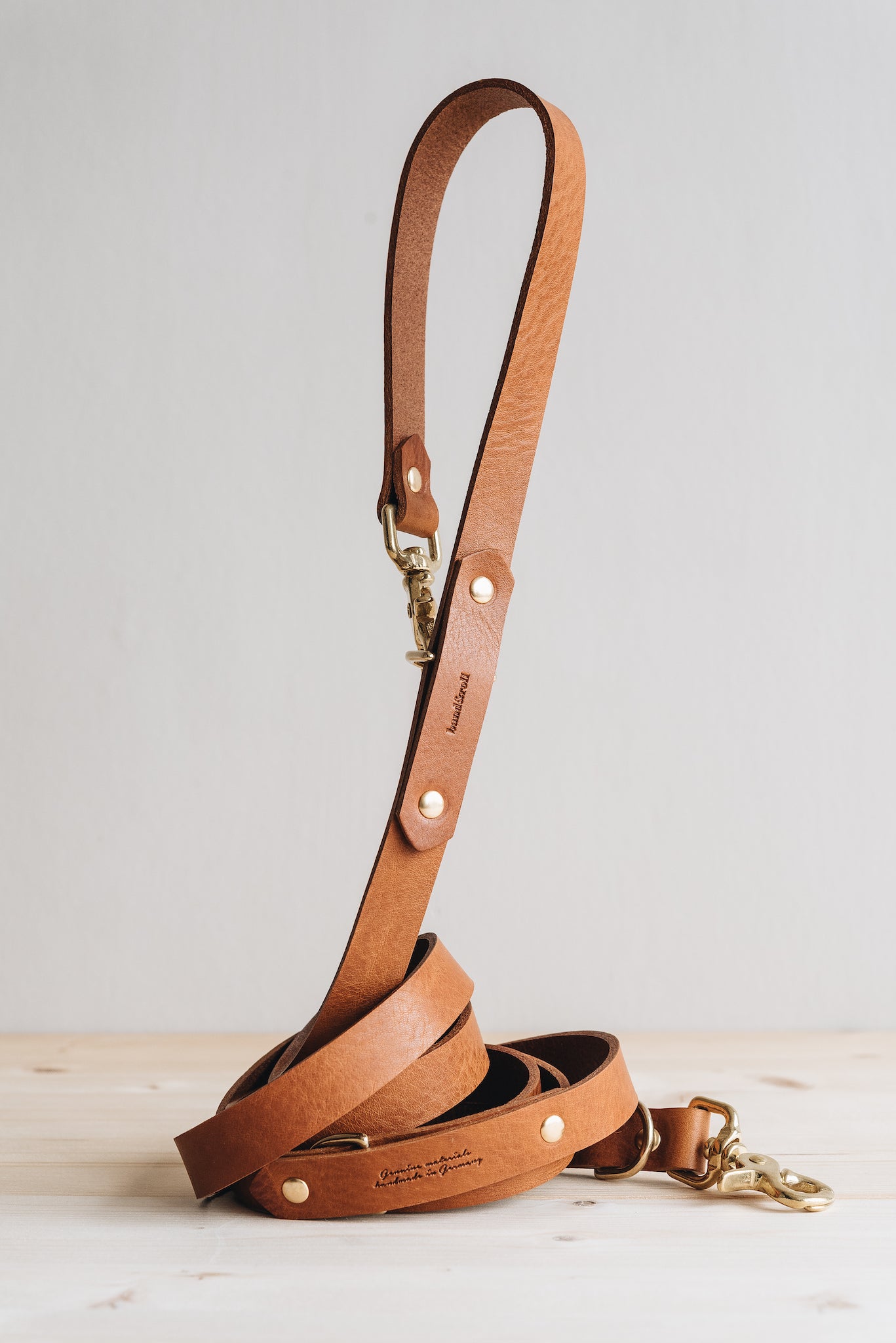 Lasso Leather Dog Leash
