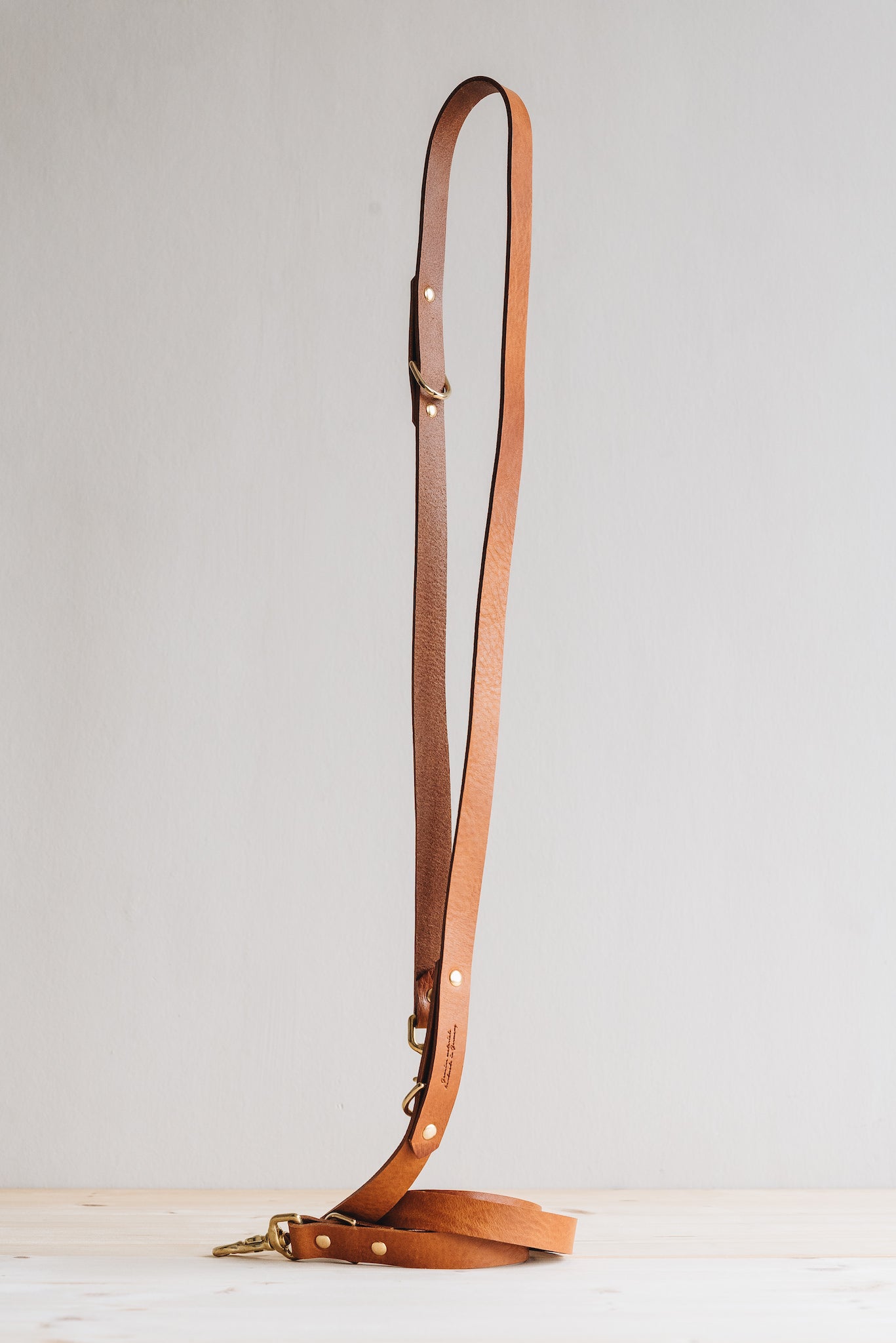 Lasso Leather Dog Leash