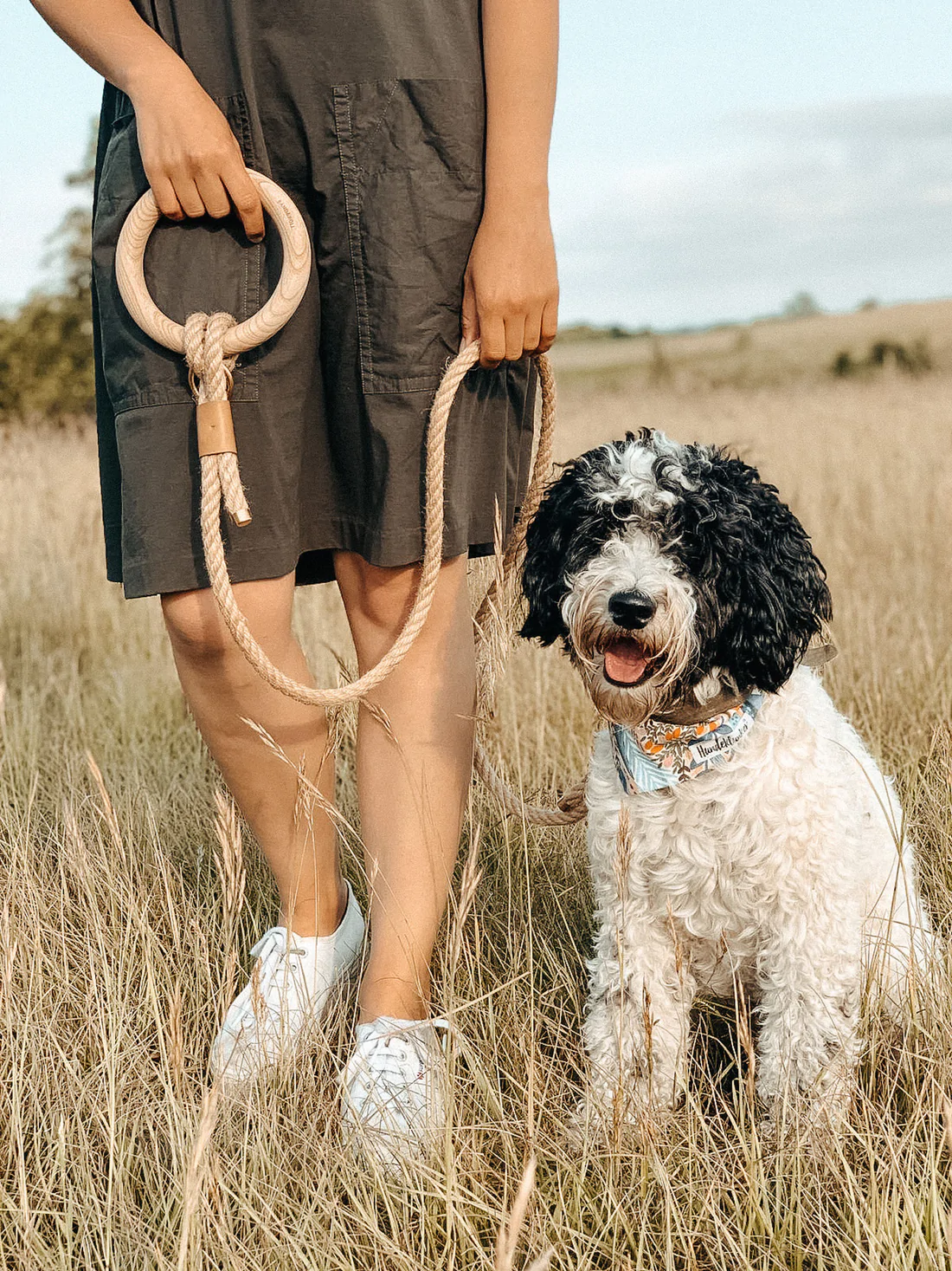 Eco-friendly Dog Leash, Ash