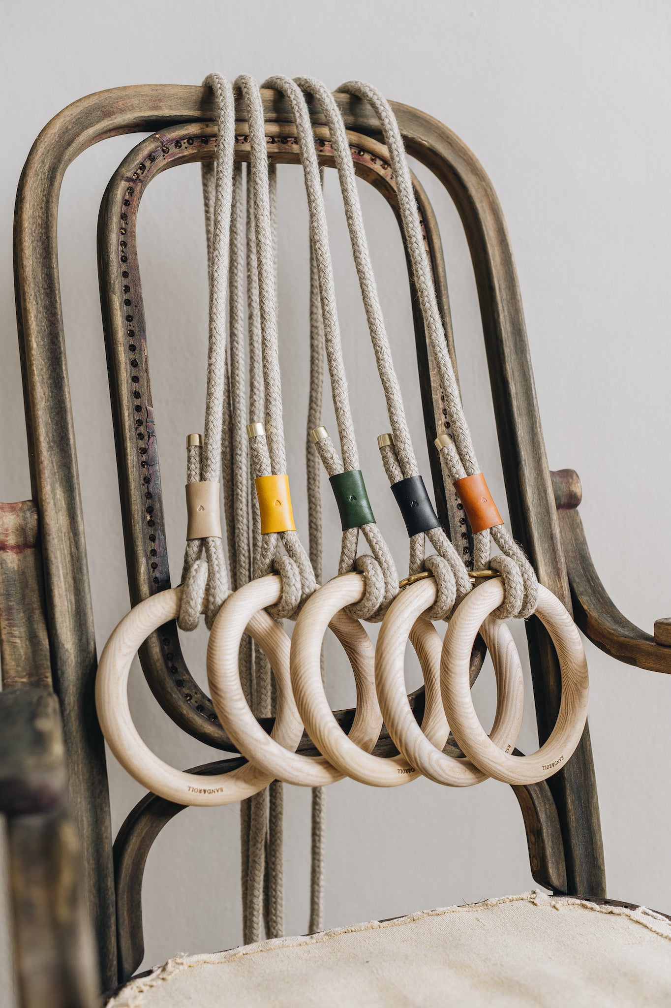 Eco-friendly Dog Leash, Ash