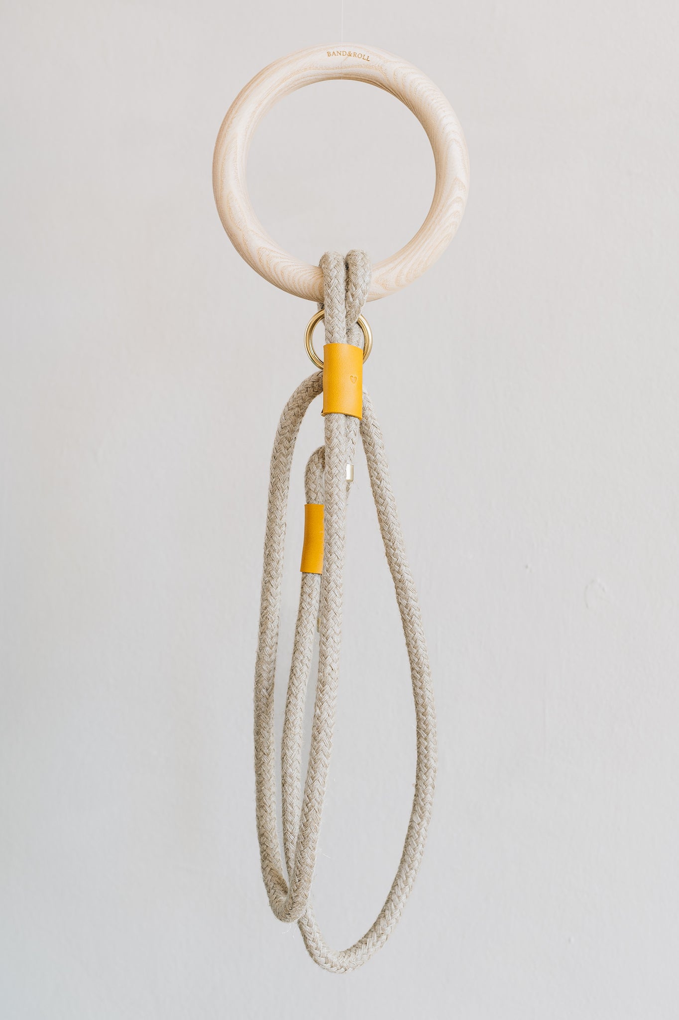 Eco-friendly Dog Leash, Ash