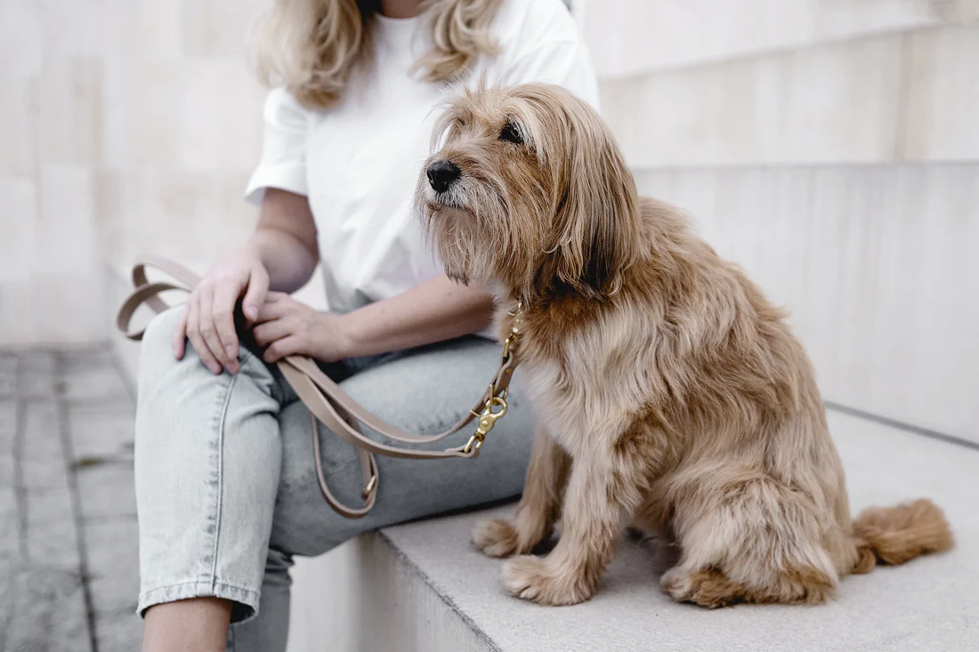 Lasso Leather Dog Leash