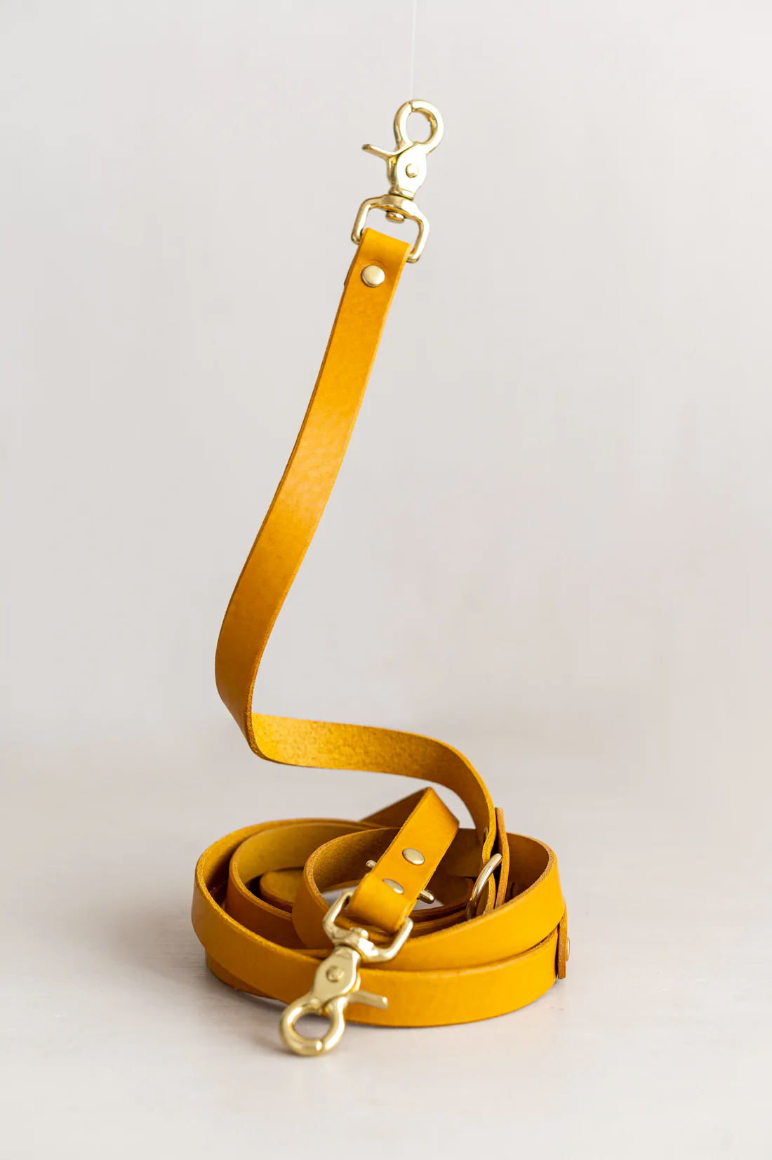 Lasso Leather Dog Leash