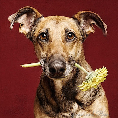 Postcard: Best wishes