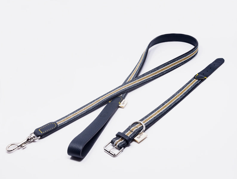 Dog Lead: Reforce Navy