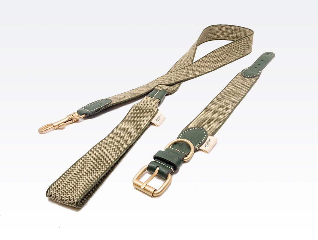 Dog Lead: James Green