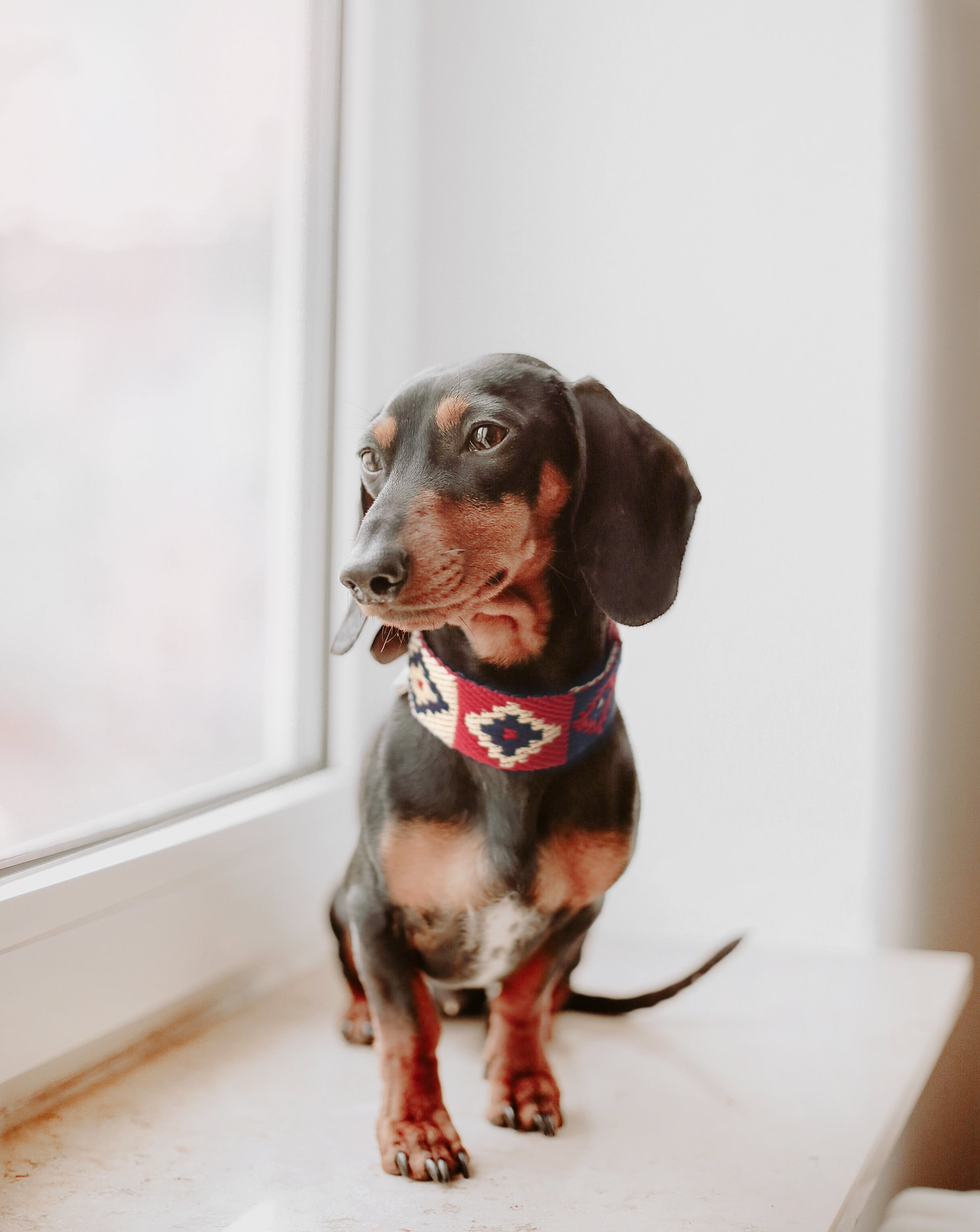 Dog Collar: Peruvian Indian Red