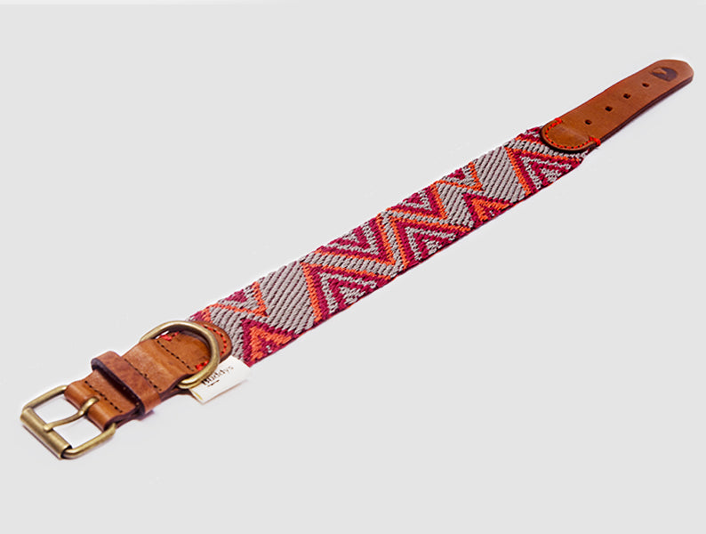 Dog Collar: Peruvian Pikes