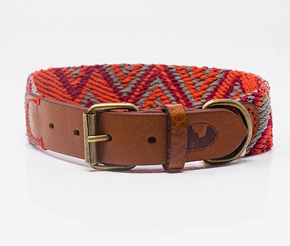Dog Collar: Peruvian Pikes
