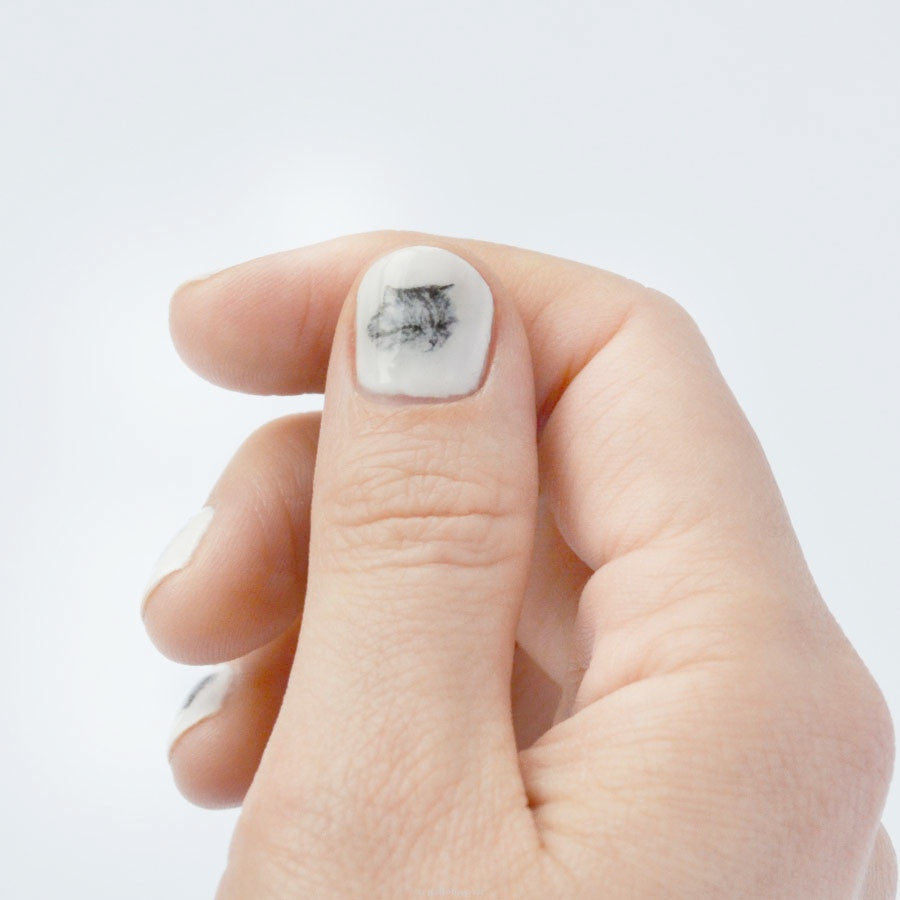 Nail transfer: Cats (FINAL SALE)