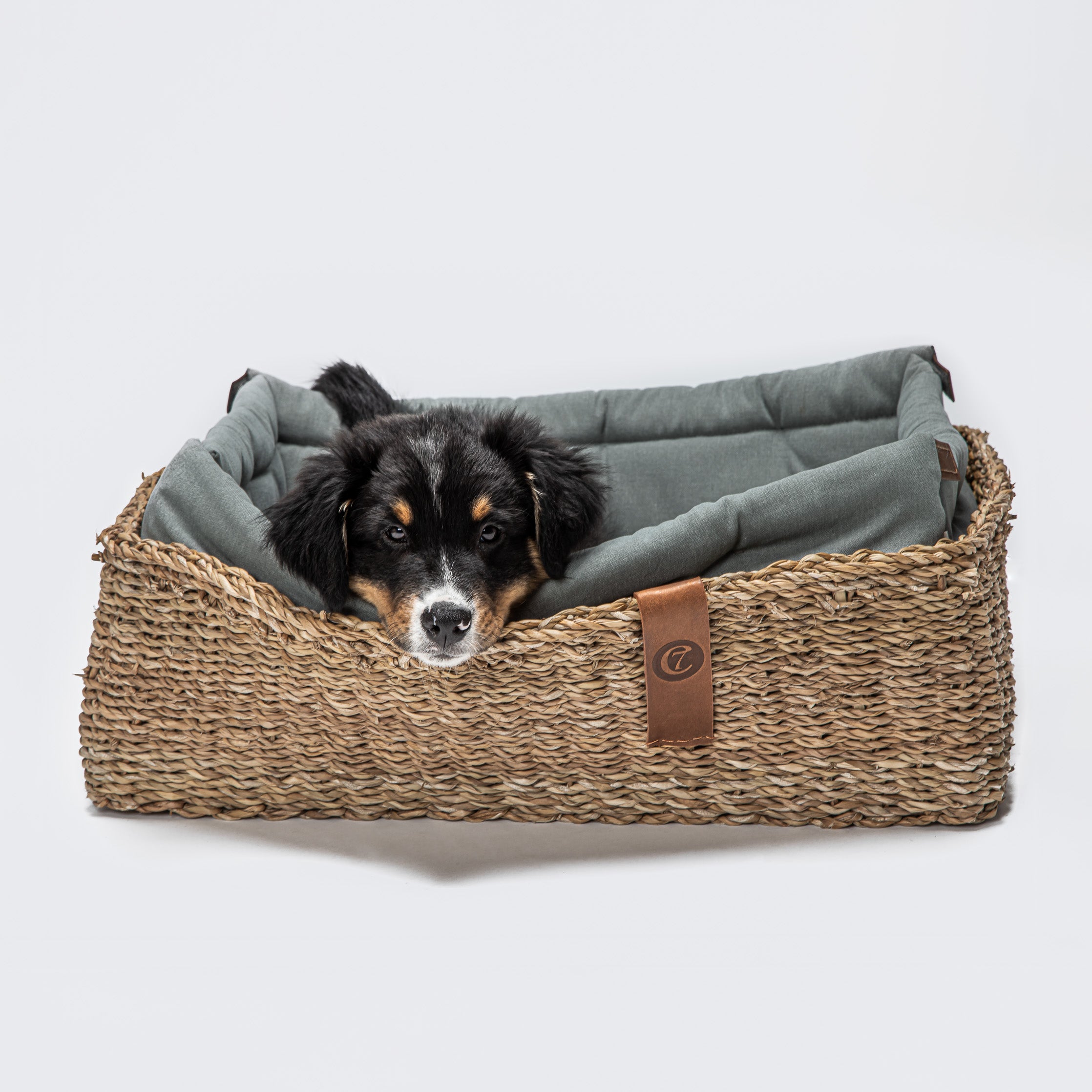 Hideaway Basket Dog Bed, Jade