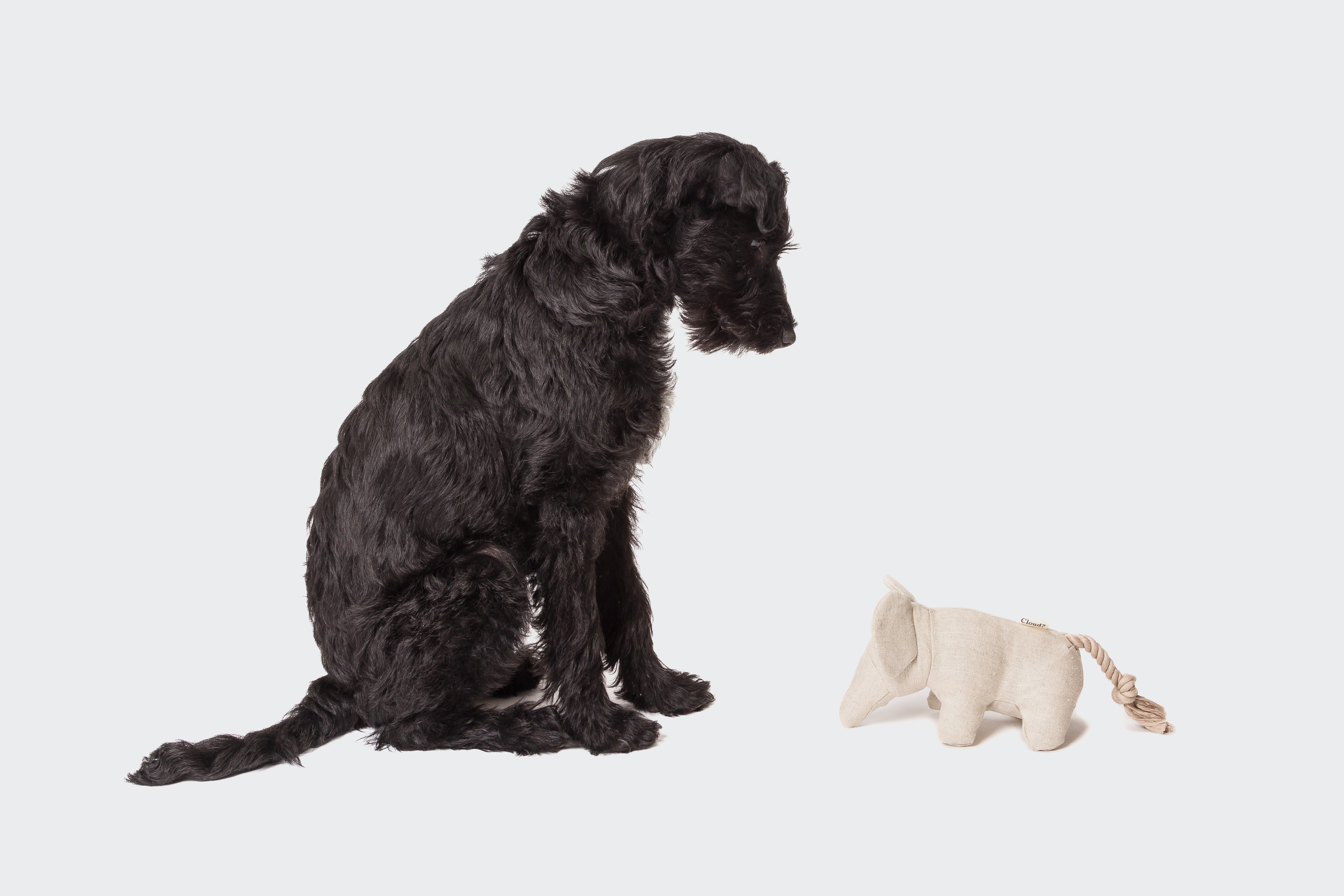 Cloud7 Dog Toy, Ellie the Elephant