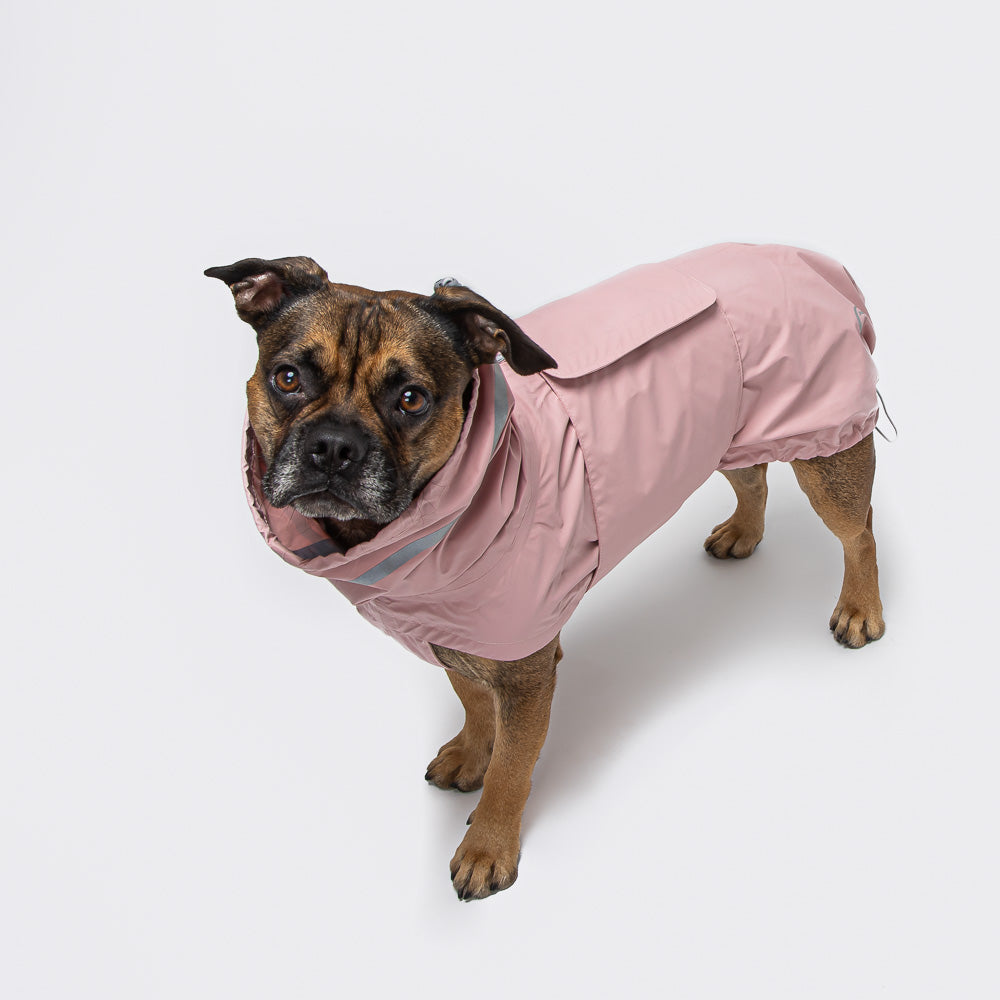 Cloud7 Dog Raincoat Hamburg Candy