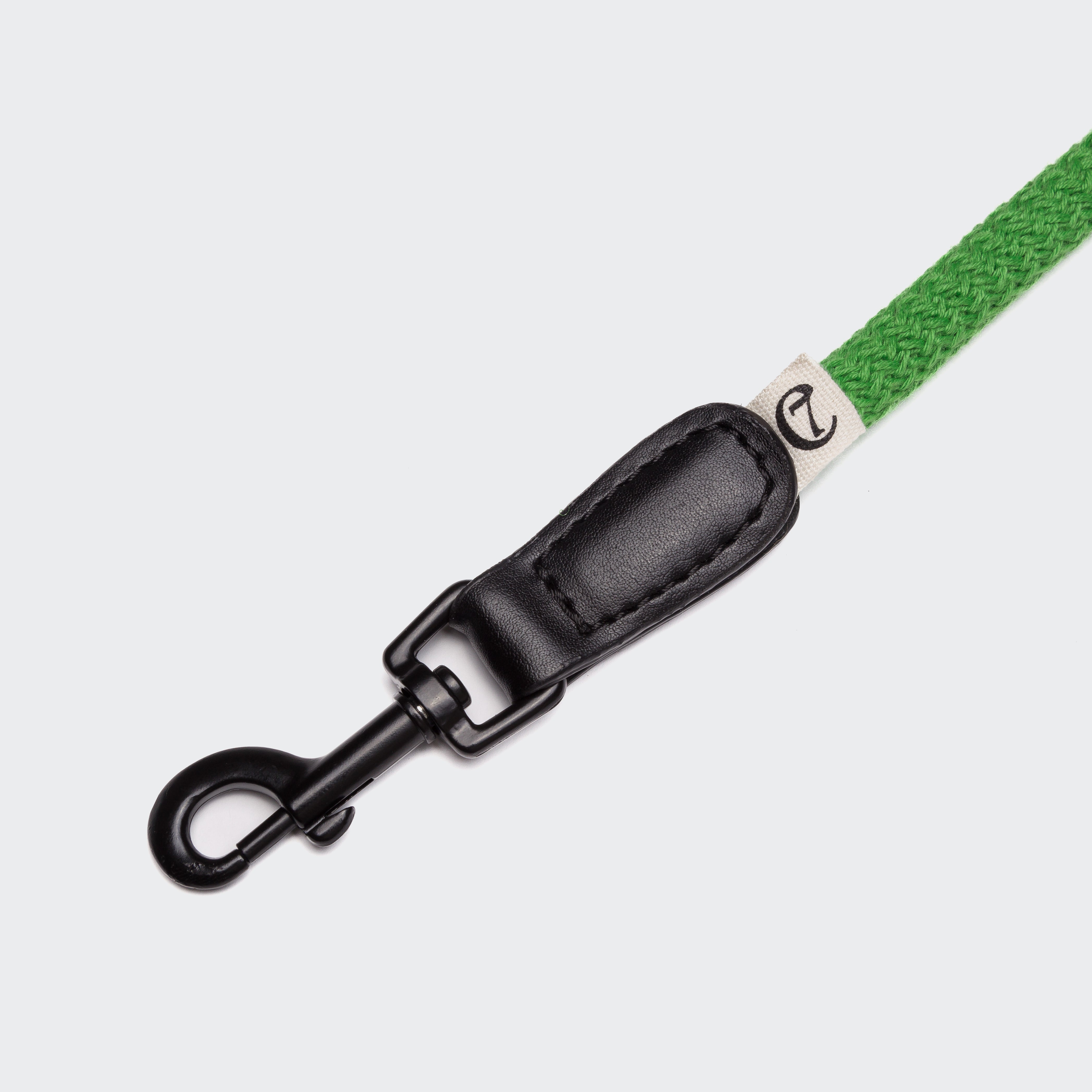 Cloud7: Mauerpark Park Vegan Dog Leash, Grass