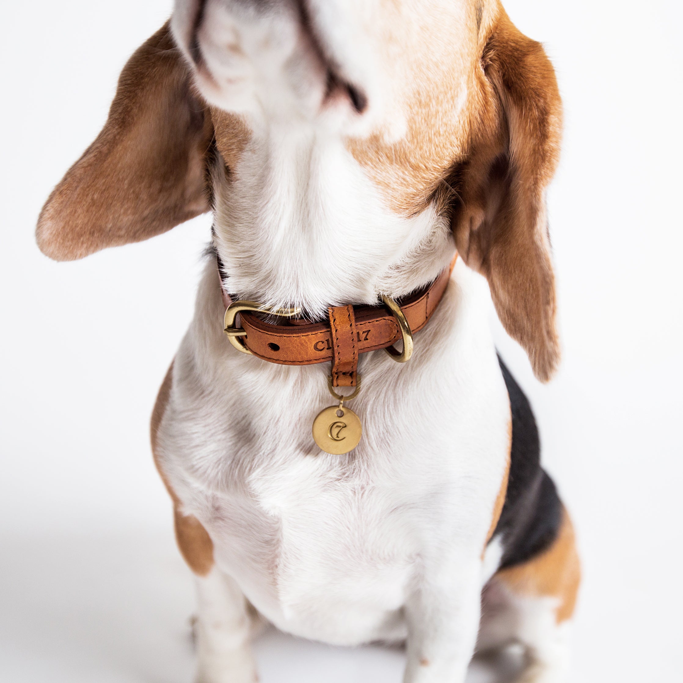 Cloud7 Dog Collar Hyde Park Cognac Leather