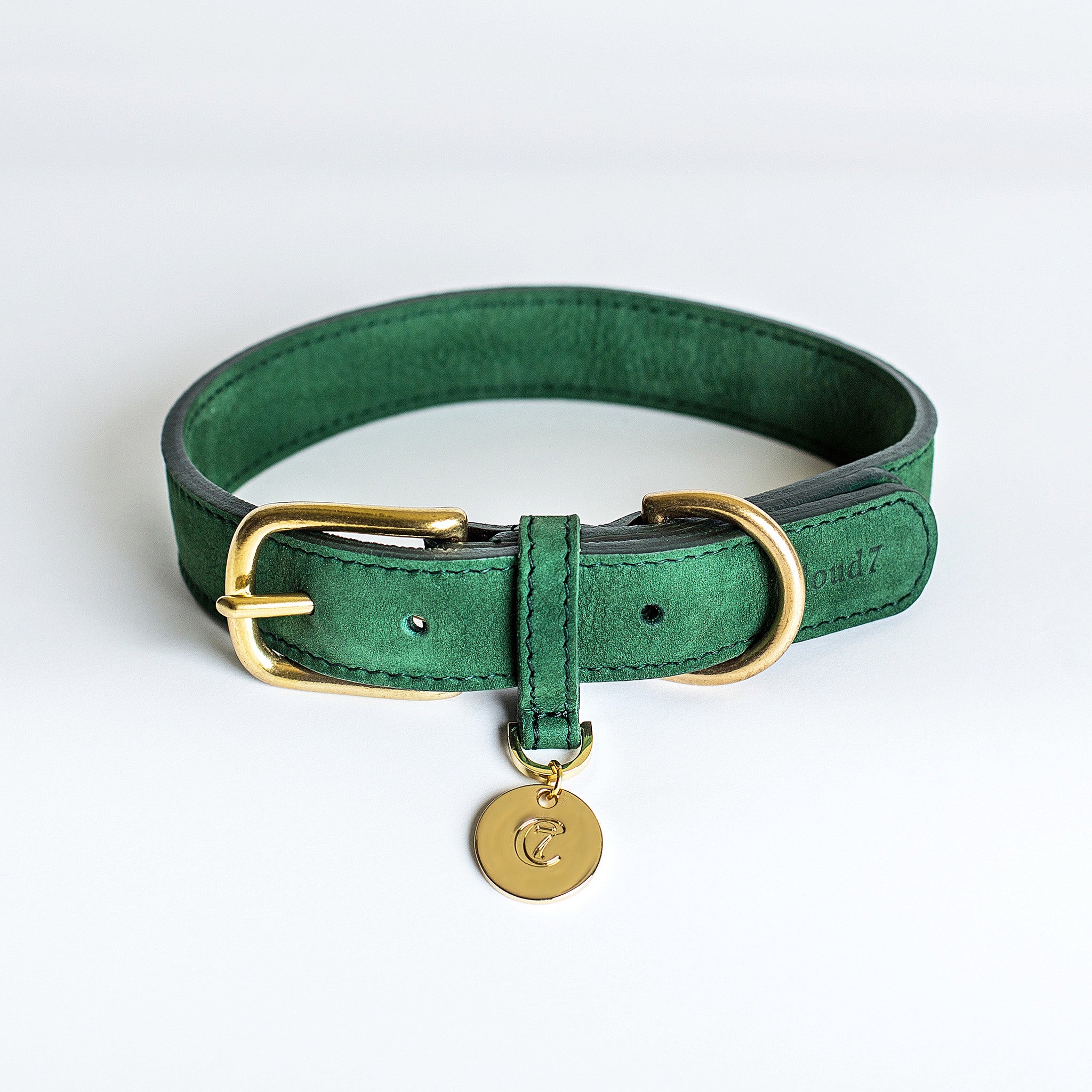 Cloud7 Tiergarten Nubuck Dog Collar in Green