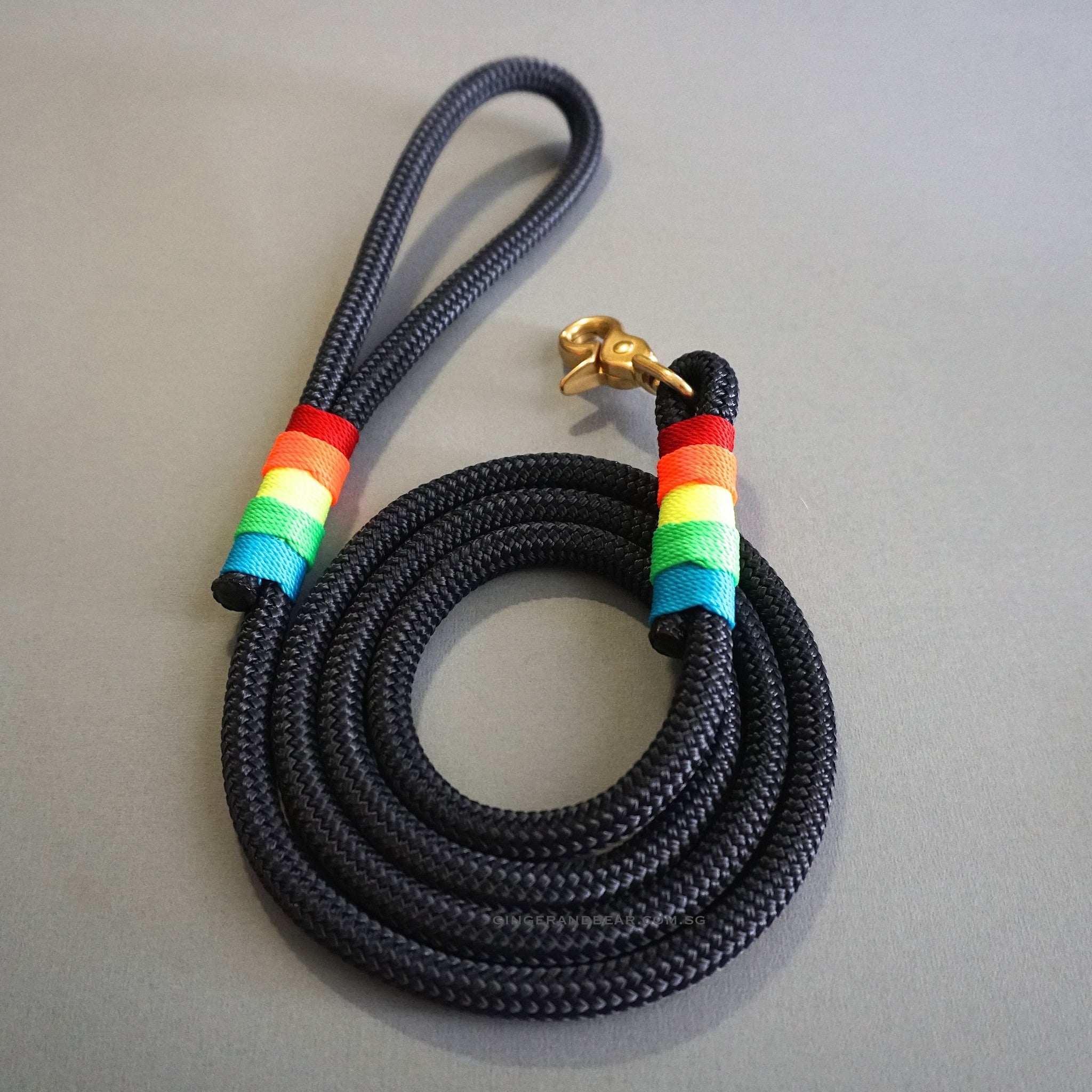 Rugged Hudson Leash: Rainbow on Navy